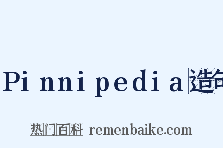 Pinnipedia造句是什么意思的图片